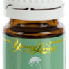 Angelica Essential Oil - 5 ml - Image 2