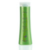 Angelica Essential Oil - 5 ml - Image 20