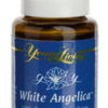 Angelica Essential Oil - 5 ml - Image 3